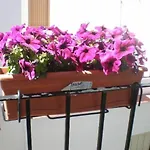 Hotel Al-andalus 2*