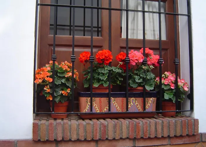 Al-andalus 2* Torrox