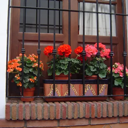 Al-andalus 2* Torrox